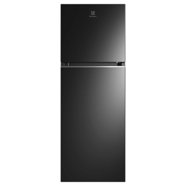 310L UltimateTaste 300 top freezer refrigerator