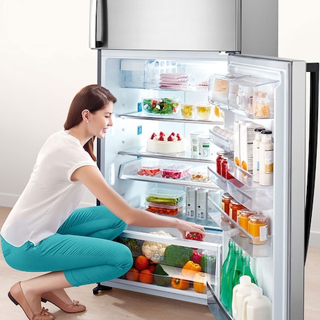 14 Things to Know About Electrolux Refrigerators 